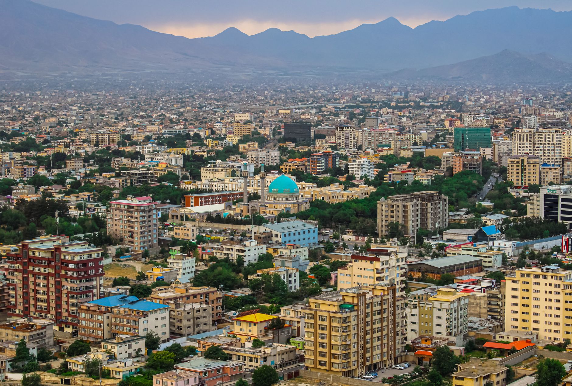 Nabi Afghanistan plans